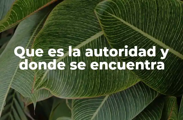 El papel de la autoridad en la toma de decisiones