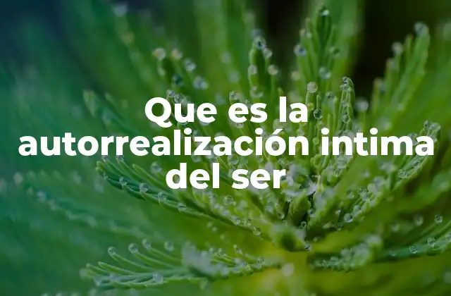 Que es la Autorrealización Intima Del Ser 2 El viaje hacia el yo verdadero