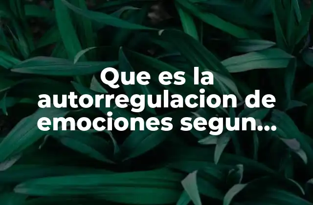 Que es la Autorregulacion de Emociones Segun Autores