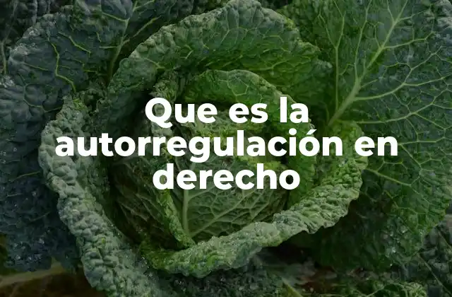 Que es la Autorregulación en Derecho