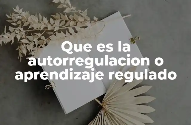 Que es la Autorregulacion o Aprendizaje Regulado 2 El rol del estudiante en el aprendizaje autónomo