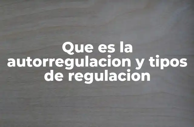 Que es la Autorregulacion y Tipos de Regulacion 2 El equilibrio entre control interno y externo