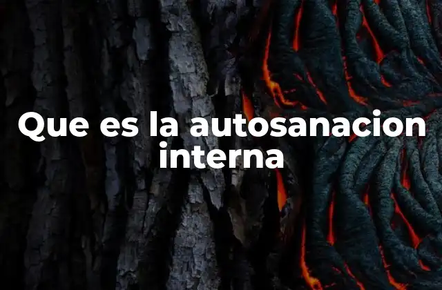 Que es la Autosanacion Interna