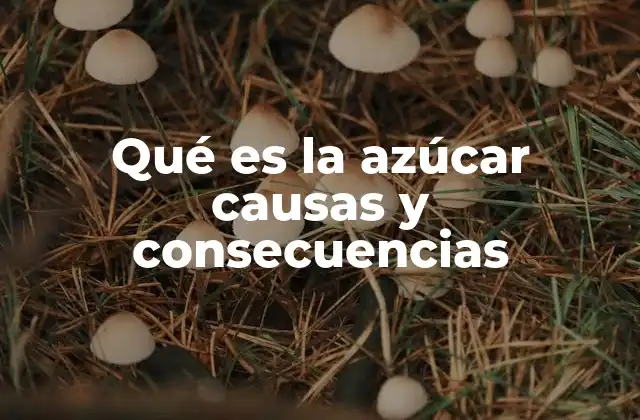 Qué es la Azúcar Causas y Consecuencias