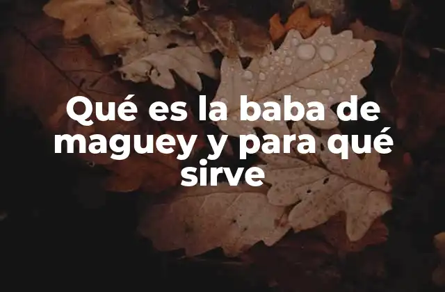 Qué es la Baba de Maguey y para Qué Sirve