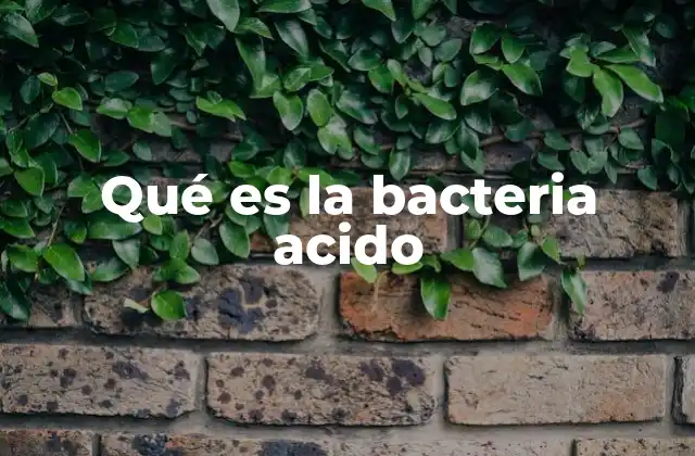 Qué es la Bacteria Acido