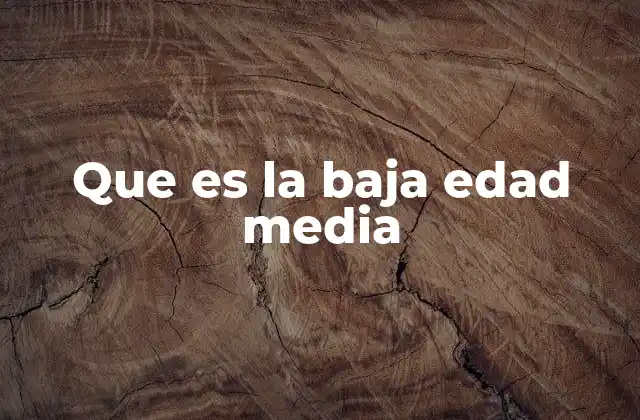 Que es la Baja Edad Media