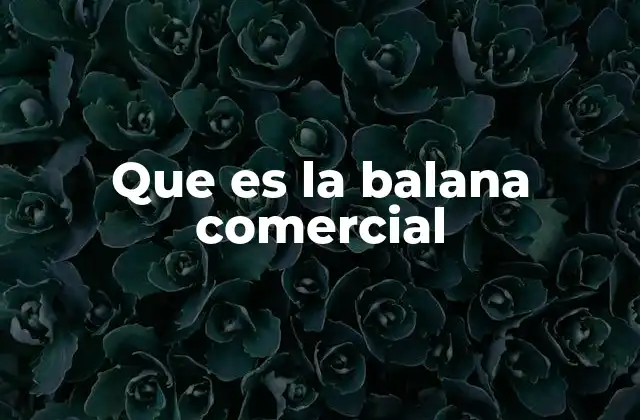 Que es la Balana Comercial