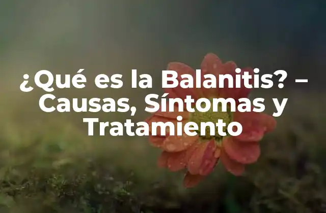 ¿qué es la Balanitis? – Causas, Síntomas y Tratamiento