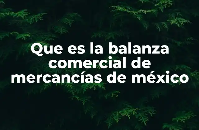 Que es la Balanza Comercial de Mercancías de México