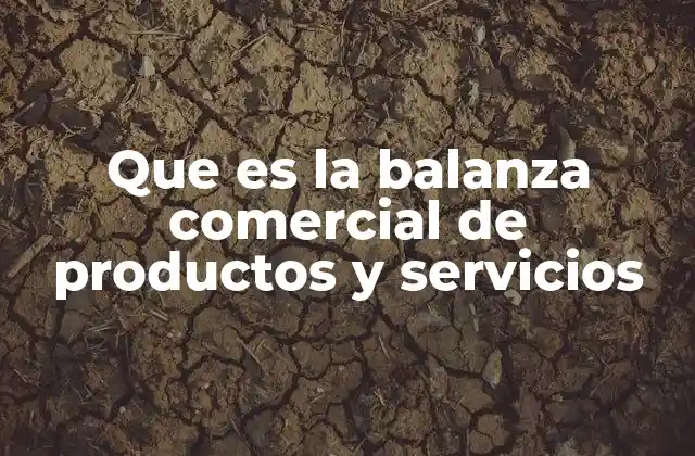 Que es la Balanza Comercial de Productos y Servicios