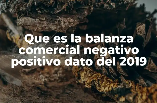 Que es la Balanza Comercial Negativo Positivo Dato Del 2019