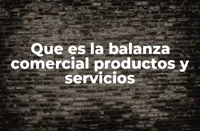 Que es la Balanza Comercial Productos y Servicios
