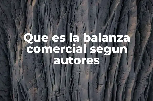 Que es la Balanza Comercial Segun Autores