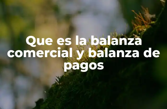 Que es la Balanza Comercial y Balanza de Pagos 2 La relación entre el comercio exterior y las finanzas nacionales