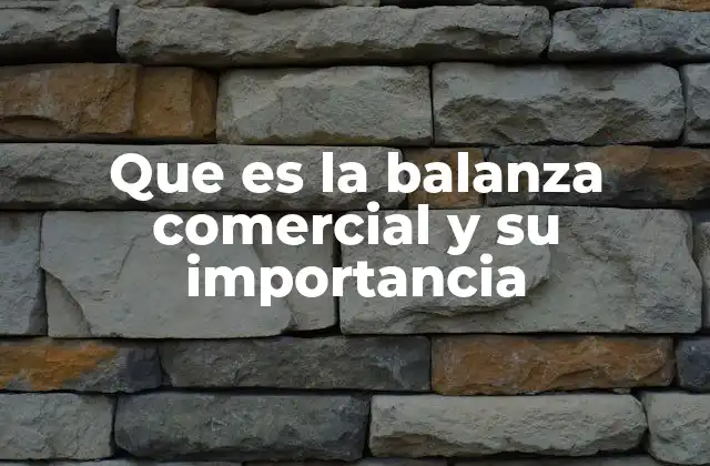 Que es la Balanza Comercial y Su Importancia