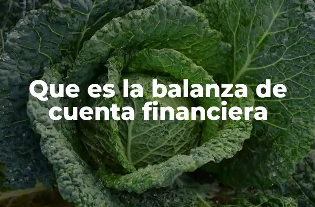 Que es la Balanza de Cuenta Financiera