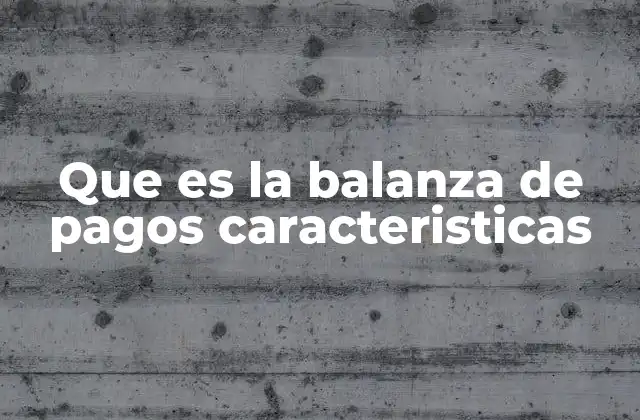 Que es la Balanza de Pagos Caracteristicas