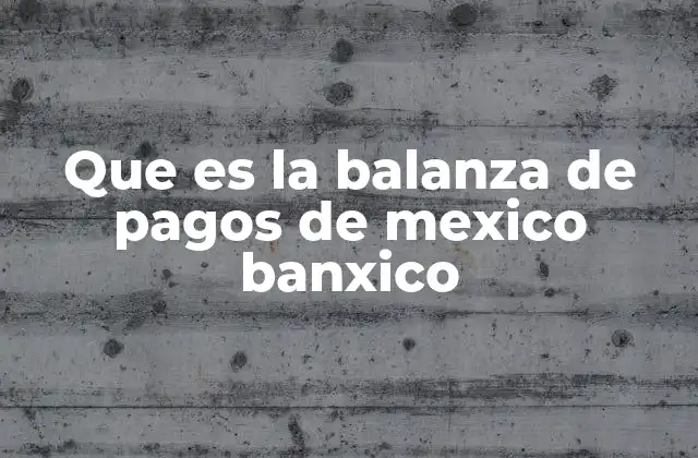 El rol de la balanza de pagos en la política económica de México