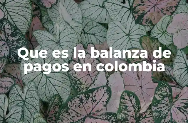 Que es la Balanza de Pagos en Colombia