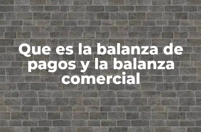 Que es la Balanza de Pagos y la Balanza Comercial