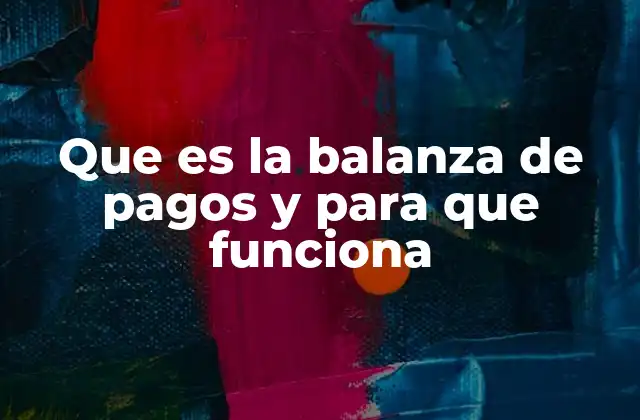 Que es la Balanza de Pagos y para que Funciona