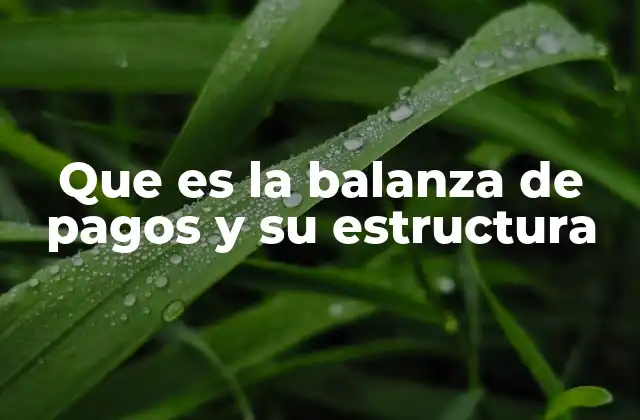 Que es la Balanza de Pagos y Su Estructura