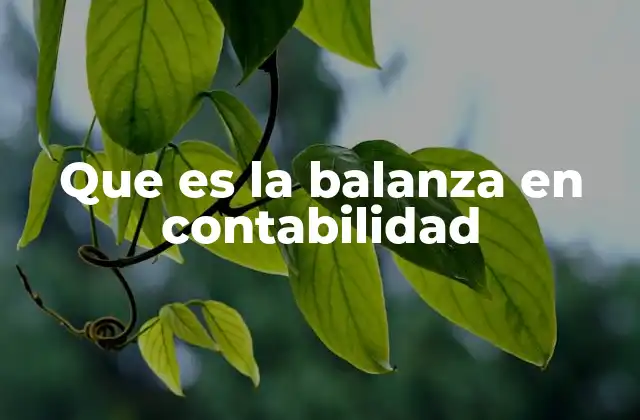 Que es la Balanza en Contabilidad