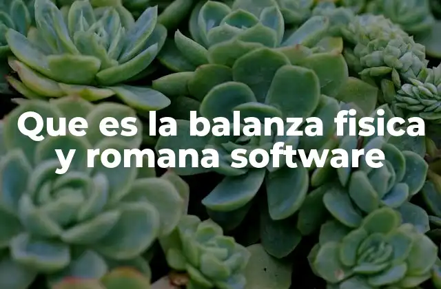Que es la Balanza Fisica y Romana Software