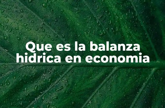 Que es la Balanza Hidrica en Economia