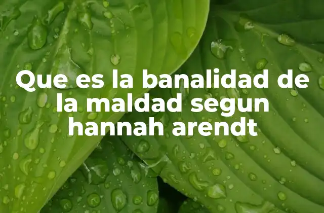 Que es la Banalidad de la Maldad Segun Hannah Arendt