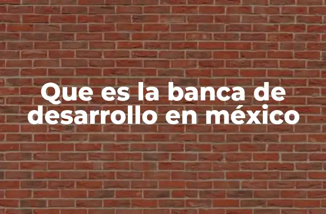 Que es la Banca de Desarrollo en México