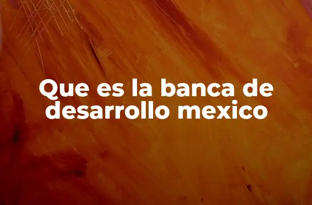 Que es la Banca de Desarrollo Mexico