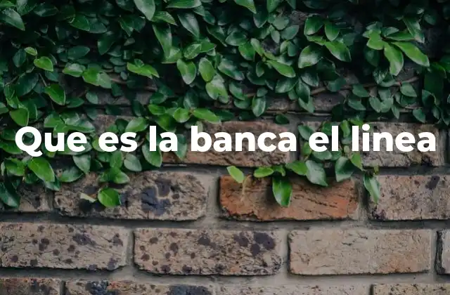 Que es la Banca el Linea