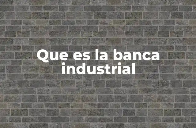 El papel de la banca en la dinámica industrial