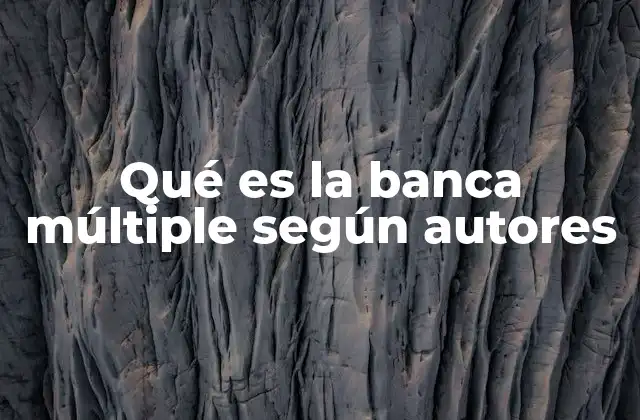 Qué es la Banca Múltiple según Autores 2 El enfoque de los autores sobre la evolución de los servicios financieros