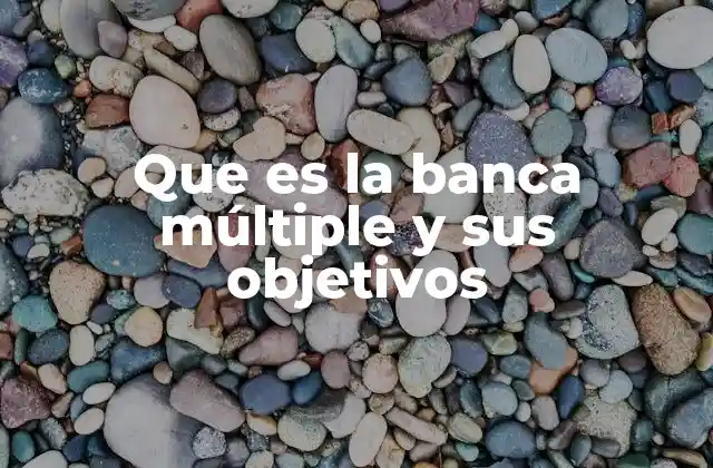 Que es la Banca Múltiple y Sus Objetivos