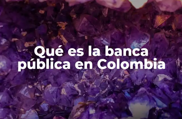 Qué es la Banca Pública en Colombia