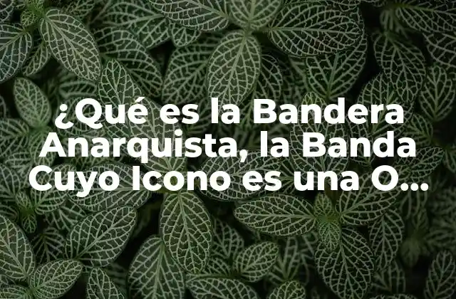 ¿qué es la Bandera Anarquista, la Banda Cuyo Icono es una o Negra Tachada?