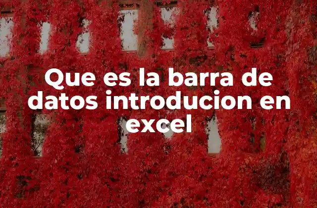 Que es la Barra de Datos Introducion en Excel