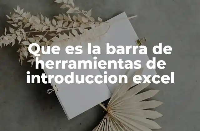 Que es la Barra de Herramientas de Introduccion Excel