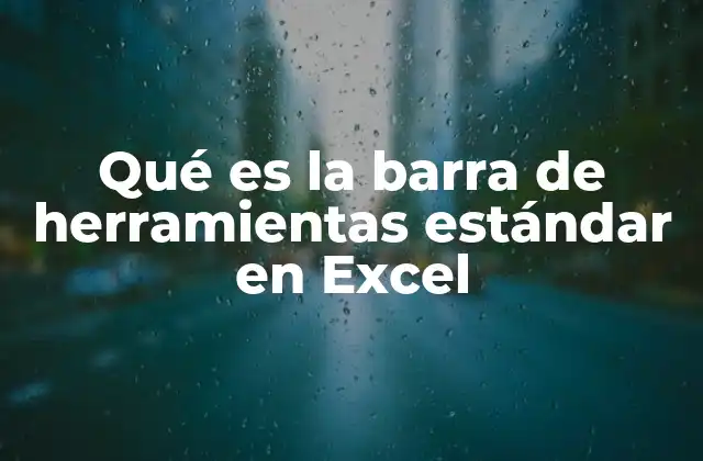 Qué es la Barra de Herramientas Estándar en Excel