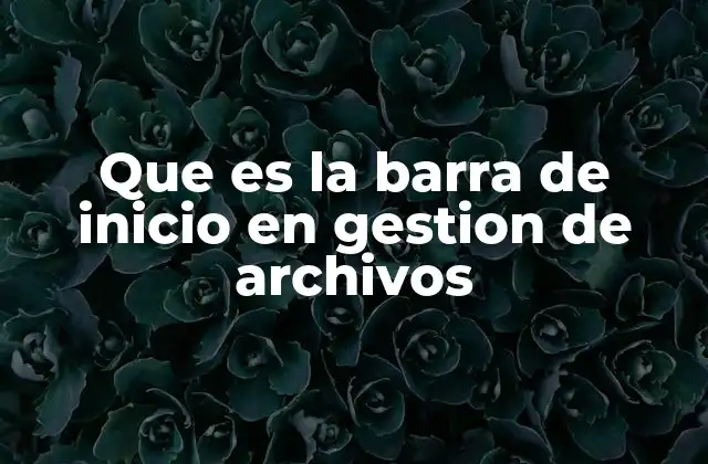 Que es la Barra de Inicio en Gestion de Archivos