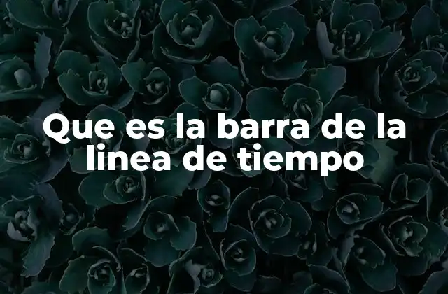 Que es la Barra de la Linea de Tiempo