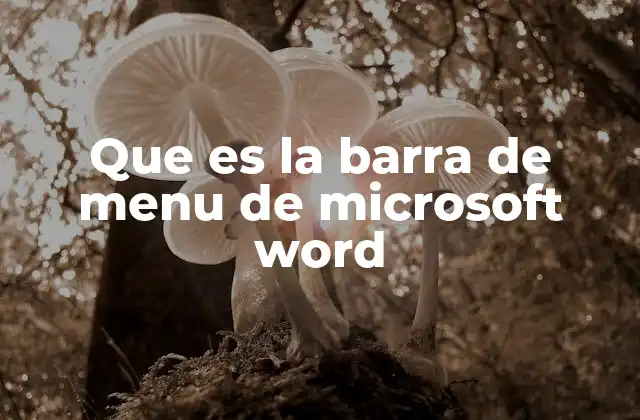 Que es la Barra de Menu de Microsoft Word