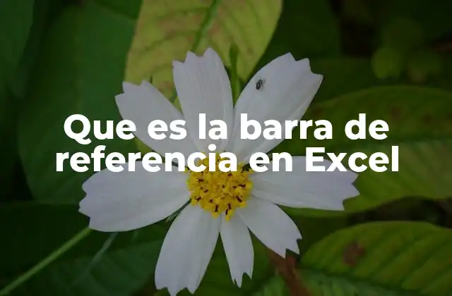 La navegación eficiente en Excel y su relación con la barra de referencia