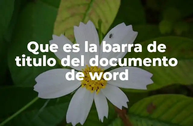 Que es la Barra de Titulo Del Documento de Word