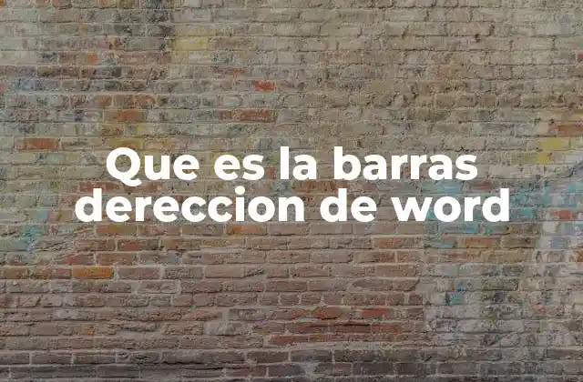 Que es la Barras Dereccion de Word