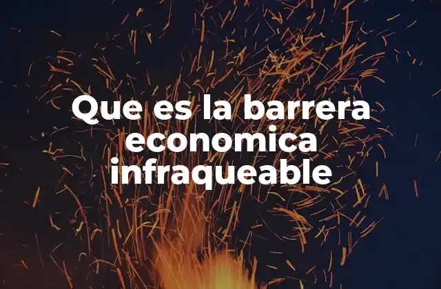 Que es la Barrera Economica Infraqueable