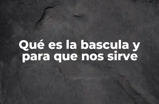 Qué es la Bascula y para que Nos Sirve